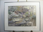 Oaks on the River - Water Color - 20x30